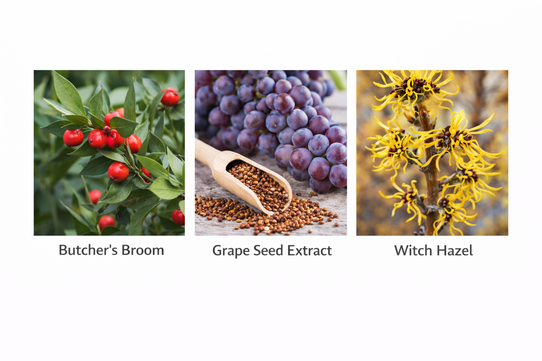 Natural Ingredients That Support Healthy Veins and Circulation